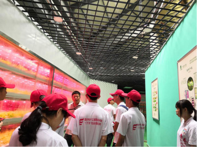 心系三农，让农业插上科技的翅膀——网络工程赋能现代农业发展